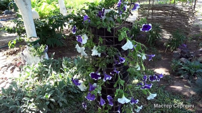 Как сделать вертикальную клумбу