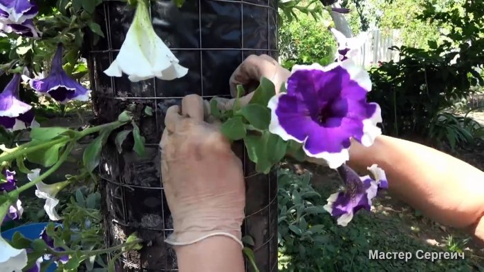 Как сделать вертикальную клумбу