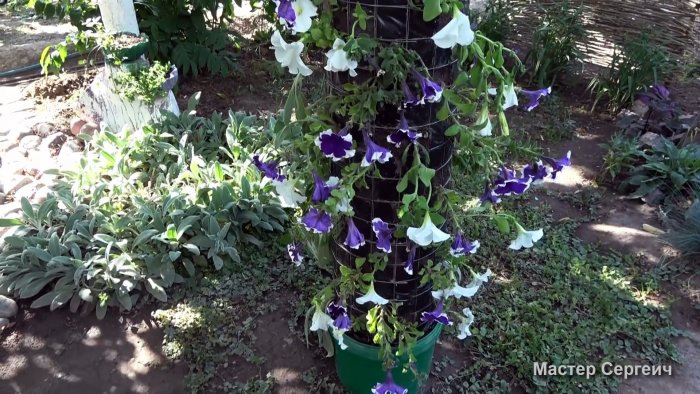 Как сделать вертикальную клумбу