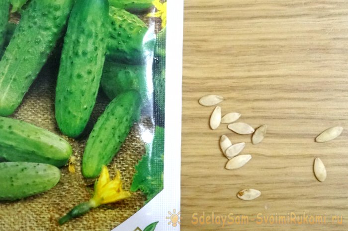 Огурцы как получить богатый урожай приложив минимум усилий