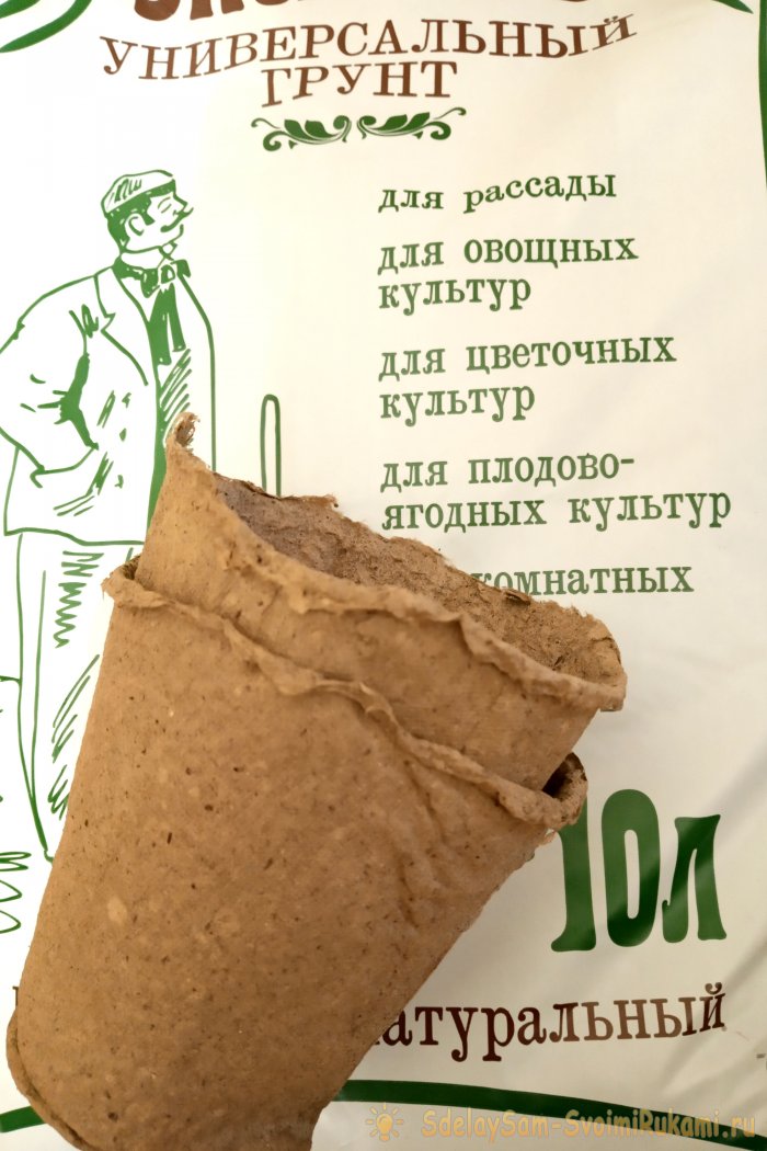 Огурцы как получить богатый урожай приложив минимум усилий