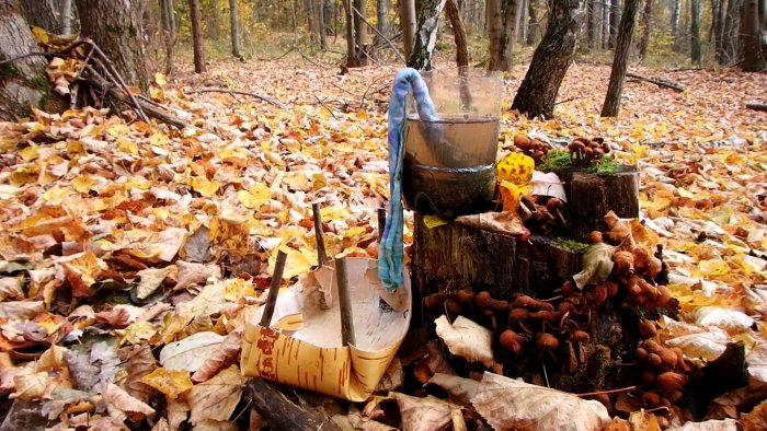 Как очистить и обеззаразить воду в лесу при отсутствии котелка или фляги