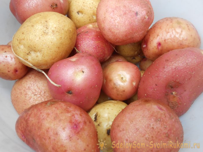 Четыре эффективных приема для повышения урожайности картофеля
