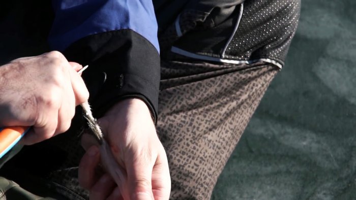 Чистим окуня быстро легко и без разлета чешуи