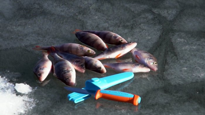 Чистим окуня быстро легко и без разлета чешуи