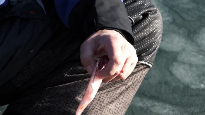 Чистим окуня быстро легко и без разлета чешуи