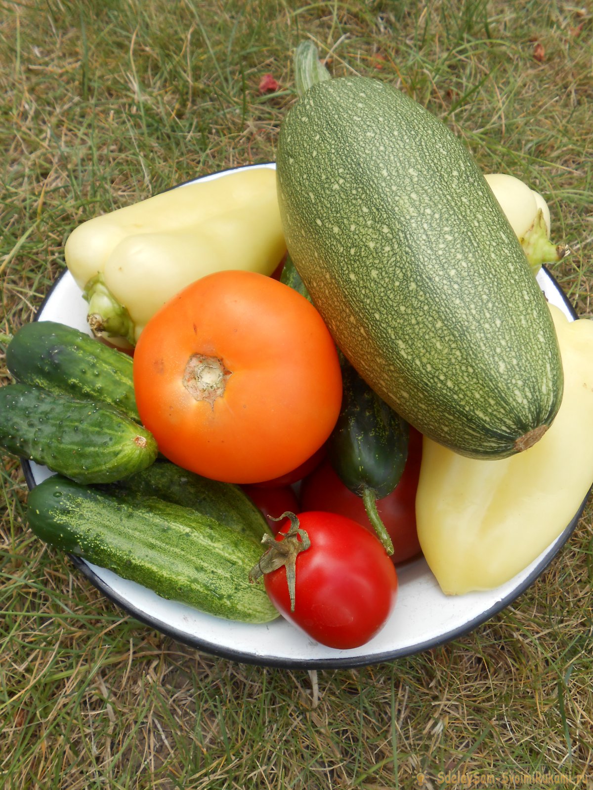 Вершинная гниль овощей: простая подкормка для профилактики и лечения