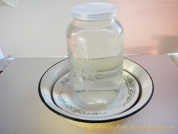 Самое вкусное блюдо из горбуши простой и проверенный рецепт семужного посола