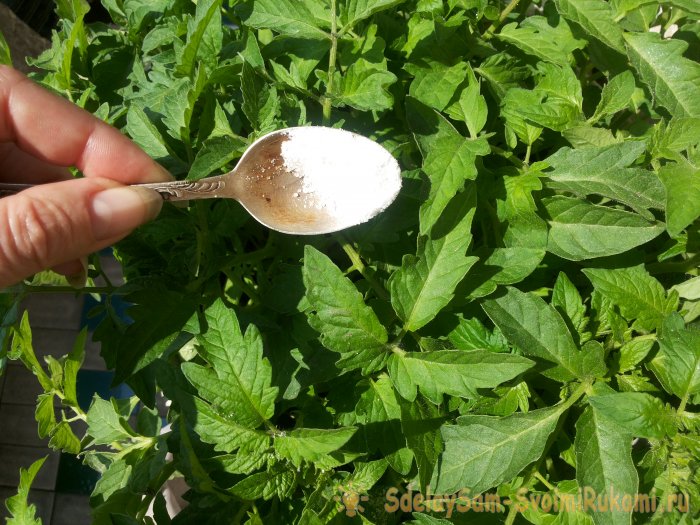 Некорневые подкормки томатов борной кислотой для повышения урожайности культуры