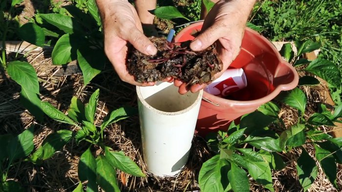 Как заставить компостных червей работать на вас Делаем вермикомпостер башню для грядок