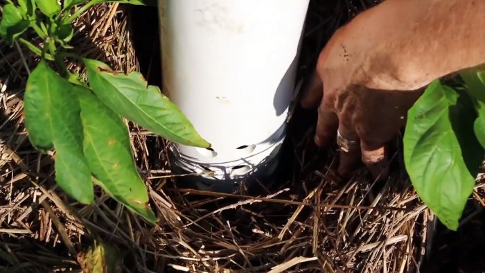 Как заставить компостных червей работать на вас Делаем вермикомпостер башню для грядок