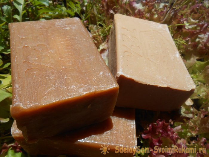 4 причины опадания завязей на огурцах и методы их устранения