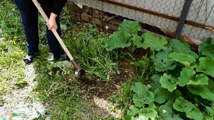 Как из куска трубы сделать мощную мотыгу которая вырубит любые корни и сорняки