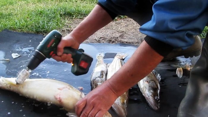 Чистим улов шуруповертом прямо на рыбалке за пару минут