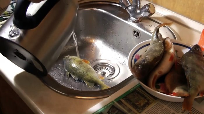 Советы бывалых рыбаков 3 способа почистить окуня быстро и без грязи