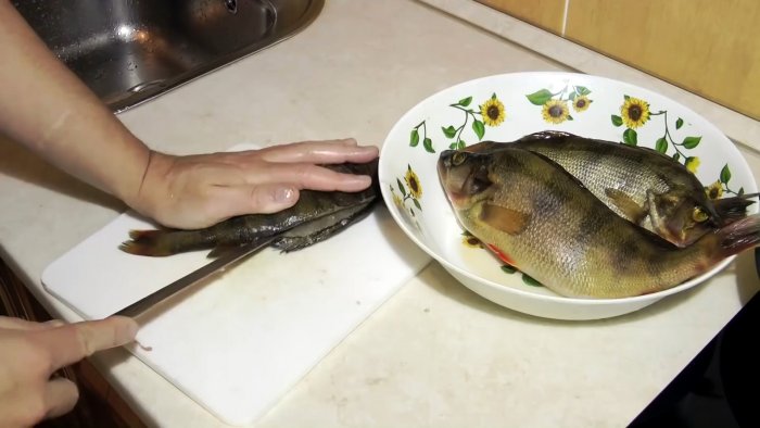 Советы бывалых рыбаков 3 способа почистить окуня быстро и без грязи