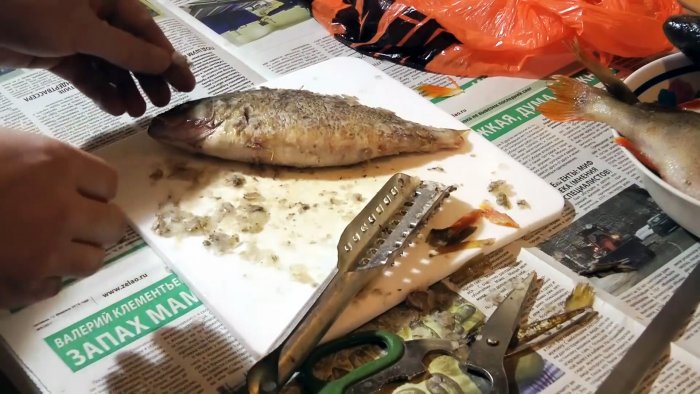 Советы бывалых рыбаков 3 способа почистить окуня быстро и без грязи