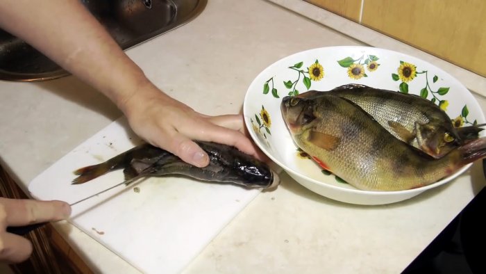 Советы бывалых рыбаков 3 способа почистить окуня быстро и без грязи