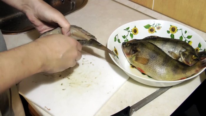 Советы бывалых рыбаков 3 способа почистить окуня быстро и без грязи