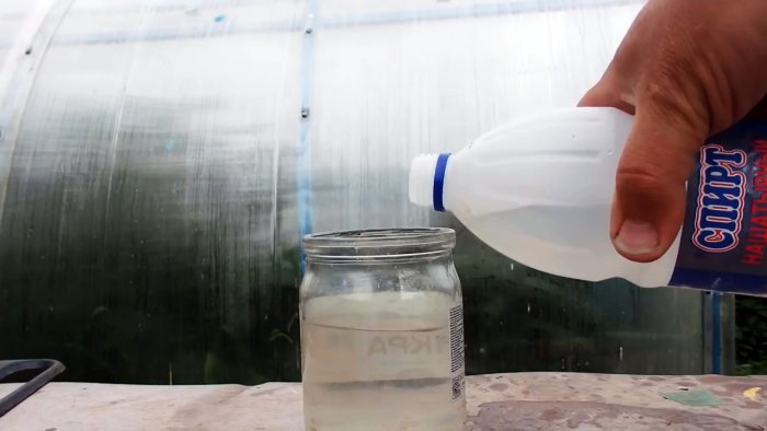 Выгоняем муравьев из теплицы за 5 минут крайне простым средством