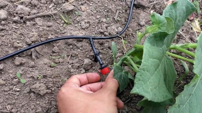 Как самостоятельно организовать автоматический полив