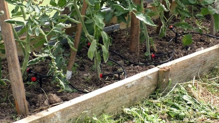 Как самостоятельно организовать автоматический полив