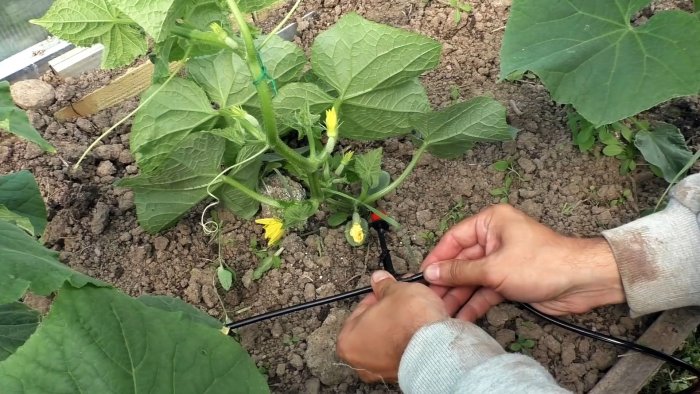 Как самостоятельно организовать автоматический полив