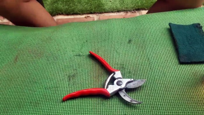 Как без разборки восстановить заржавевшие садовые ножницы