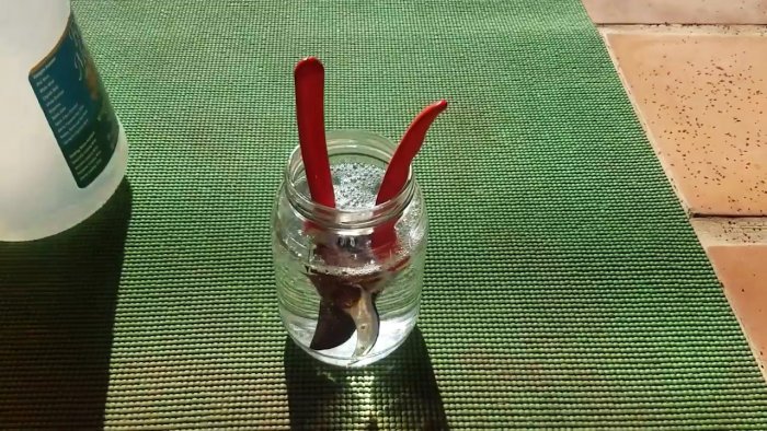 Как без разборки восстановить заржавевшие садовые ножницы