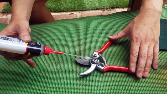 Как без разборки восстановить заржавевшие садовые ножницы