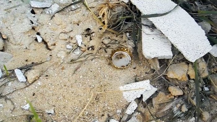 Избавляем участок от всех муравейников всего одной ампулой инсектицида