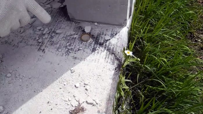 Избавляем участок от всех муравейников всего одной ампулой инсектицида