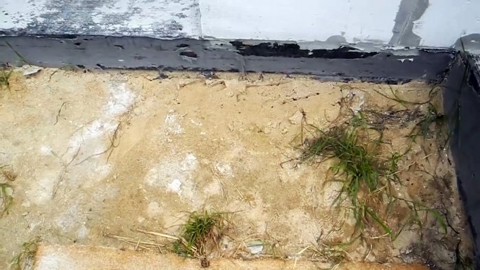 Избавляем участок от всех муравейников всего одной ампулой инсектицида