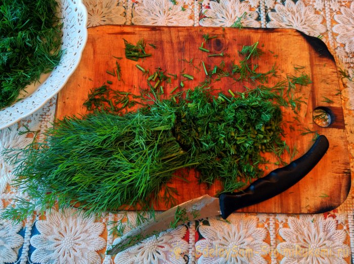 Сбор и высушивание укропа в естественных условиях