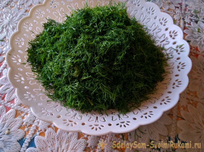 Сбор и высушивание укропа в естественных условиях