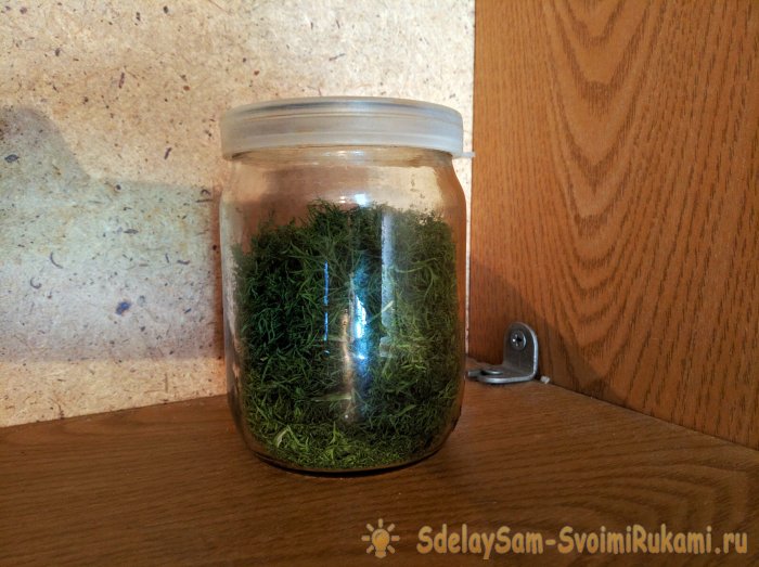 Сбор и высушивание укропа в естественных условиях