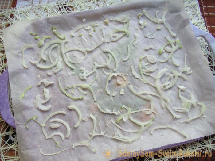 Вырастили много лука и хотите без проблем сохранить его Сделайте луковый порошок