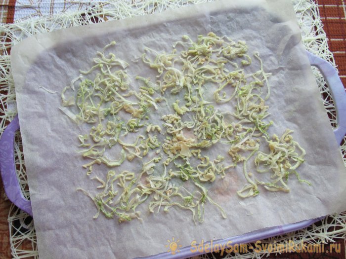 Вырастили много лука и хотите без проблем сохранить его Сделайте луковый порошок