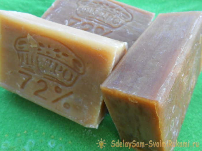 Как успешно бороться с тлей без применения ядохимикатов