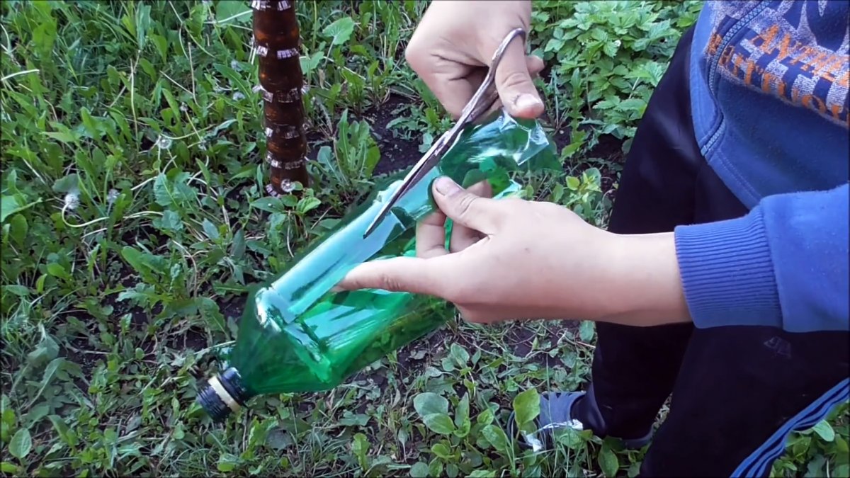 Как из ПЭТ бутылок сделать красивую пальму для сада