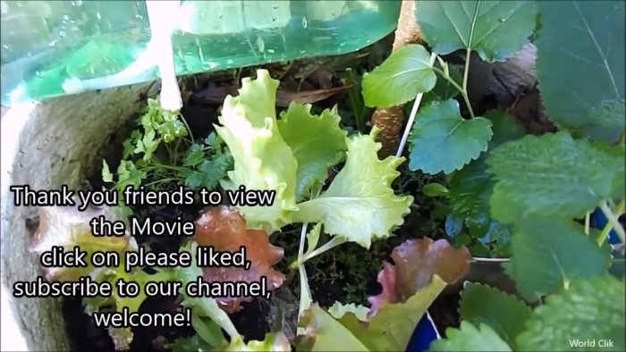 Как из обычной бутылки делать систему автоматического полива