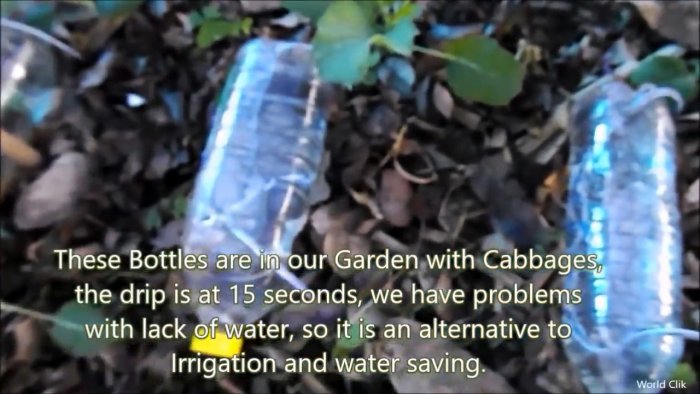 Как из обычной бутылки делать систему автоматического полива