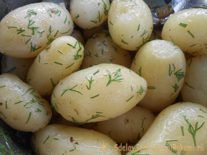 Аж сок течет - армянин делится секретом сочного шашлыка