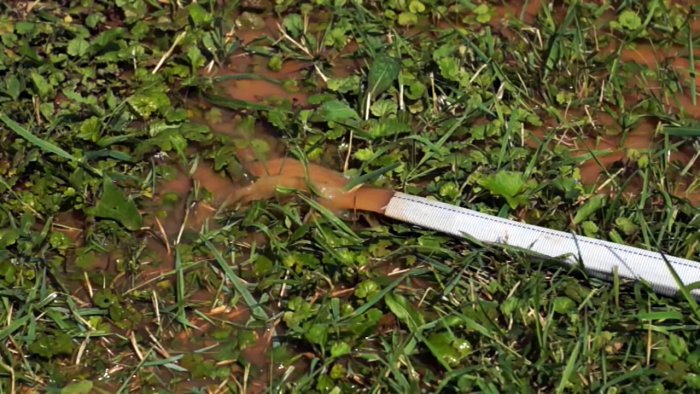 Как почистить колодец самому используя Малыш