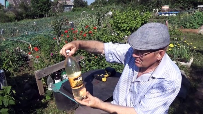 Супер простое безопасное средство от колорадского жука