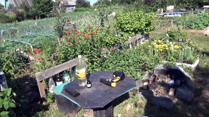 Супер простое безопасное средство от колорадского жука