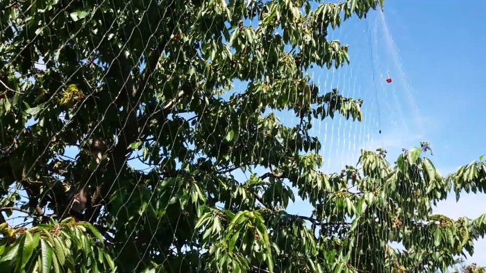 100% защита сада от птиц