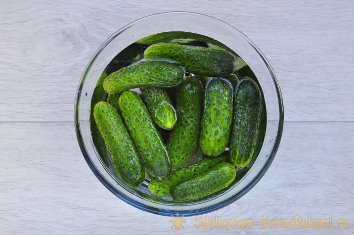 Секрет хруста малосольных огурцов пошаговый рецепт приготовления