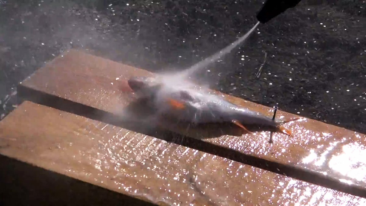 Как почистить ведро рыбы за 15 минут