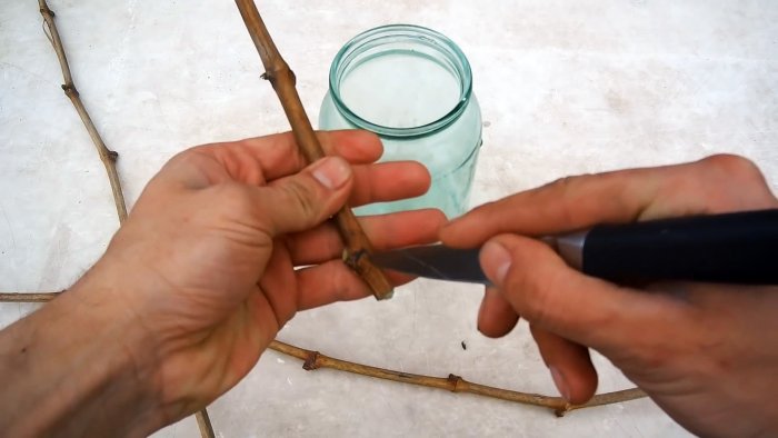 100 способ прорастить черенки винограда делаю всегда только так